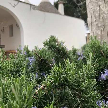 I Papatrulli Miniresort Martina Franca Exterior foto